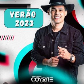 Download track Alvejante (Cover) Na Pegada Do Coyote