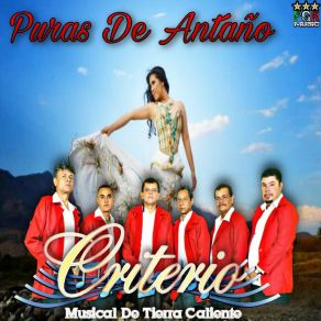 Download track Se Me Olvido Olvidarte Criterio Musical De Tierra Caliente