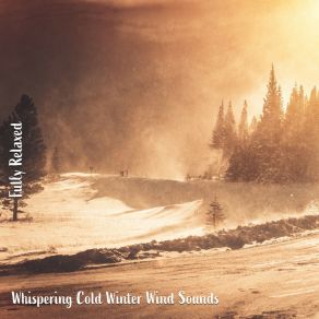 Download track Whispering Cold Winter Wind Sounds, Pt. 12 Steve Brassel