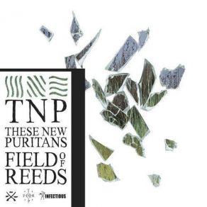 Download track Field Of Reeds These New Puritans