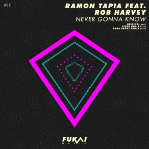 Download track Never Gonna Know (Lexer Remix) Ramon Tapia, Rob Harvey