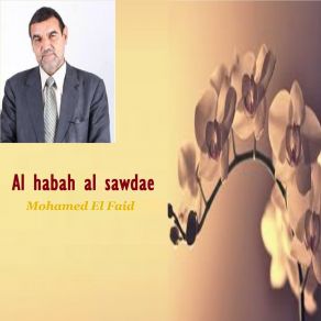 Download track Al Habah Al Sawdae, Pt. 2 Mohamed El Faid