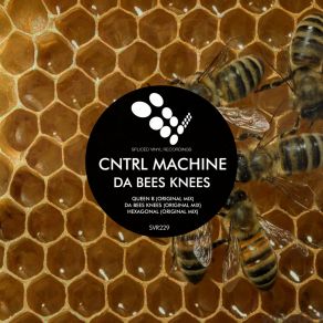 Download track Da Bees Knees (Original Mix) Cntrl Machine