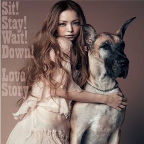 Download track Sit! Stay! Wait! Down! (Instrumental) Namie Amuro (安室奈美恵)