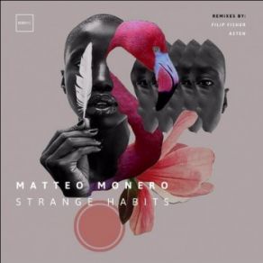 Download track Strange Habits (Original Mix) Matteo Monero