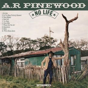 Download track Hotel A. R. Pinewood