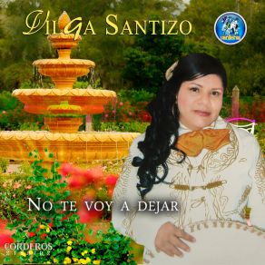 Download track Si Existe Vilga Santizo