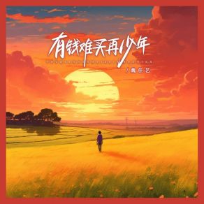 Download track 有钱难买再少年 (伴奏) 魏佳艺