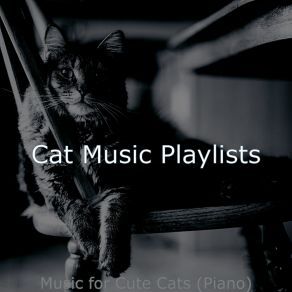 Download track Quiet Ambience For Kittens Cat Music Playlists