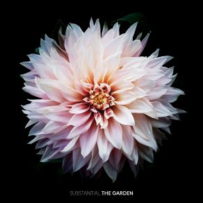 Download track Full Bloom (V2) Substantial