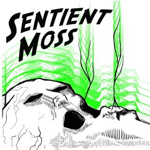 Download track Rose Like A Ghost Sentient Moss