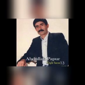 Download track Bir Dal Gibiyim Abdullah Papur