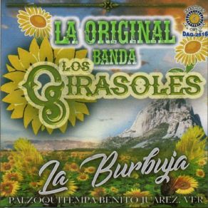 Download track Cumbia Arabe La Original Banda Los Girasoles