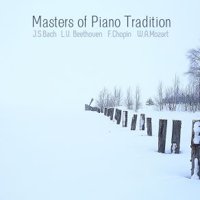 Download track Piano Sonata No. 11 In A Major, K. 331: III. Rondo 