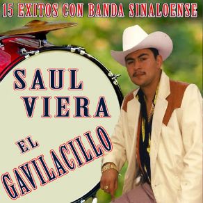 Download track Los Sinaloenses Saul Viera 