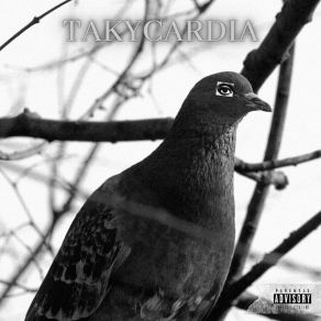 Download track CERCHIO Taky