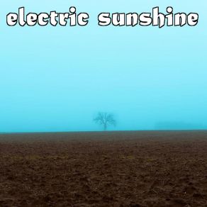 Download track Girl's Diary Electric Sunshine