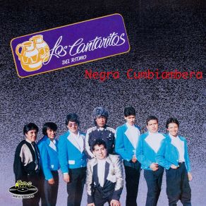 Download track Cumbia Del Torero Los Cantaritos Del Ritmo