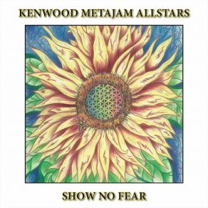 Download track Just Advance: The Poem Kenwood Metajam Allstars