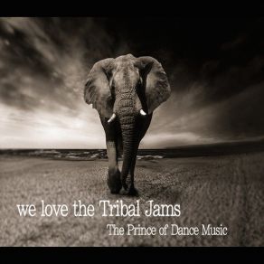 Download track We Love The Tribal Jams (Windy Warehouse Edit) The Prince Of Dance Music