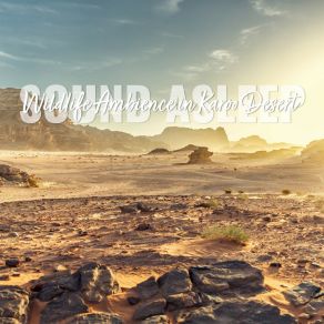 Download track Wildlife Ambience In Karoo Desert, Pt. 16 Elijah Wagner