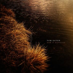 Download track The Fog And The Lifting Tom Eaton