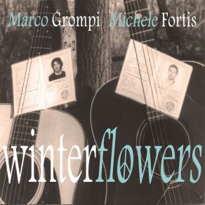 Download track Like A Miracle MARCO GROMPI, MICHELE FORTIS