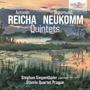 Download track Quintet In B-Flat Major, Op. 89: II. Andante Stamic Quartet, Stephan Siegenthaler