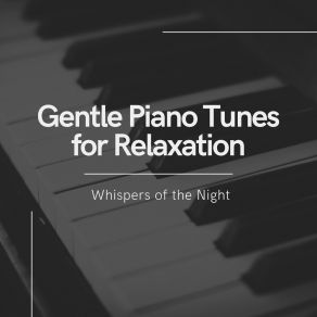 Download track Soothing Piano Reverie Whispers Of The Night