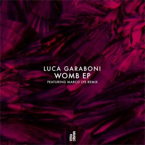 Download track Womb (Marco Lys Remix) Luca Garaboni