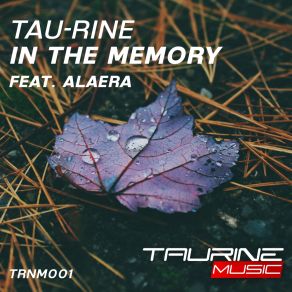 Download track In'the Memory (Original Mix) Alaera