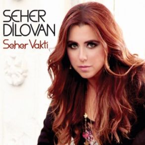 Download track Dağların Karı Yetmez Seher Dilovan