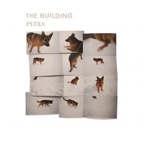 Download track Purifier The Building