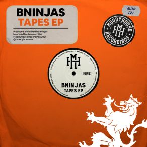 Download track In Hiding BNinjas