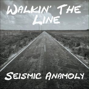 Download track Walkin' The Line Seismic AnamolyMike Burn