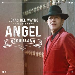 Download track Se Va La Vidita Ángel Bedrillana