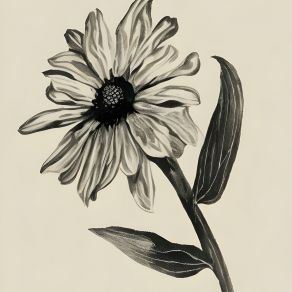 Download track Jupiter Rudbeckia