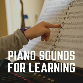 Download track Reflective Piano Study Music