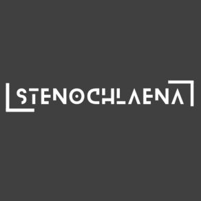 Download track Gentle Grace Stenochlaena