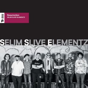 Download track Reincarnation Selim Slive Elementz