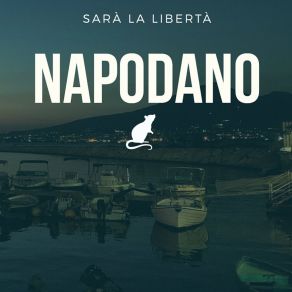 Download track Storia Di Un Ratto Napodano