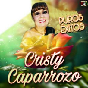 Download track Te Llevo Siempre En Mi Mente Cristy Caparrozo