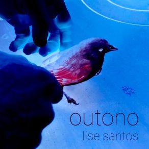 Download track Charruas E Minuanos Na Patagônia Lise Santos