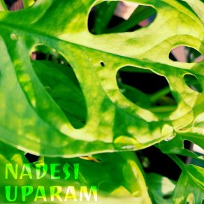 Download track Uparam Nadesi