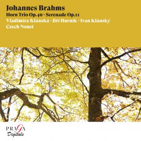 Download track Horn Trio In E-Flat Major, Op. 40: IV. Finale. Allegro Con Brio Czech Nonet, Ivan Klansky, Jiri Hurnik, Vladimíra Klánská