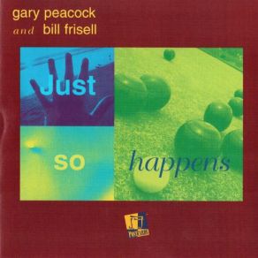 Download track Through A Skylight Bill Frisell, Gary Peacock