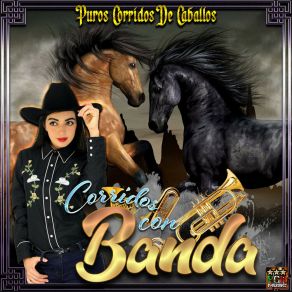 Download track El Tres Corridos De Caballos