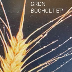 Download track Bocholt GRDN