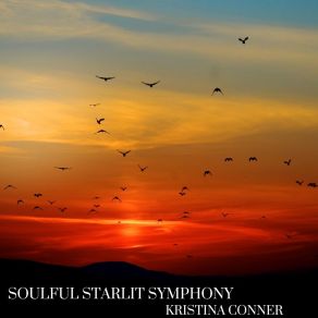 Download track Soulful Starlit Symphony Kristina Conner