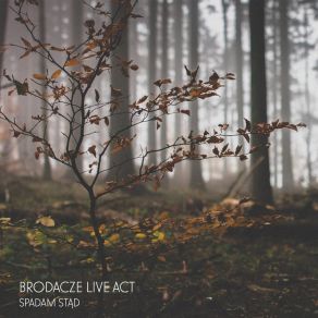 Download track Spadam Stąd Brodacze Live Act